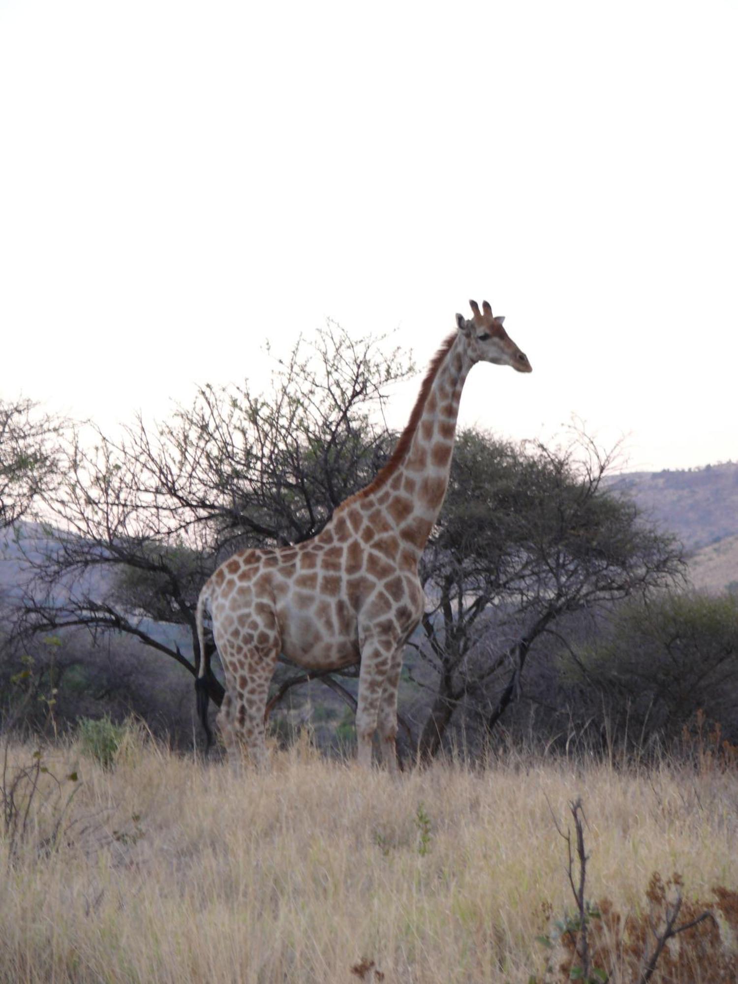 Morokolo Safari Lodge Self-Catering Pilanesberg Exterior photo